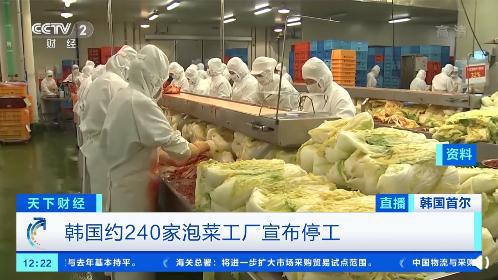 一棵白菜62元 韓國超3成泡菜工廠停工,部分經(jīng)銷商增加從中國進(jìn)口的泡菜量